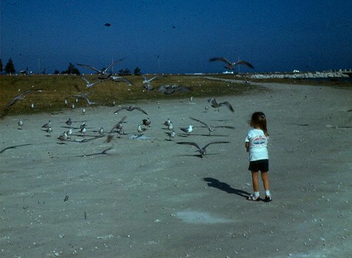 Child Feeding Gulls