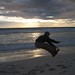 Jumping Lancein Beach
