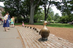 Make way for ducklings
