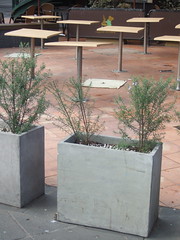 Plant boxes
