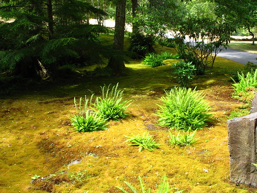moss garden 1