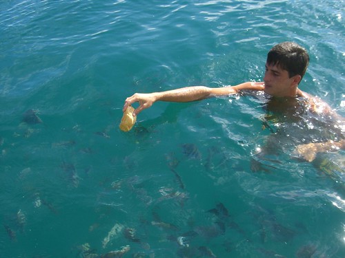 Leo feeds fish