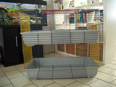 Harley's Cage!