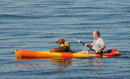 A Paddle with his pooch