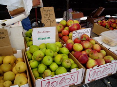 See Canyon apples