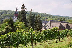 Kloster Eberbach - Rheingau