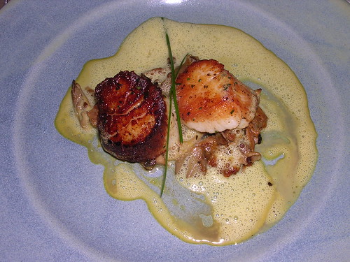 Seared Scallops with Mushroom Friccassee and Buternut Squash Emulsion