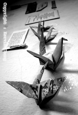 Paper-Cranes