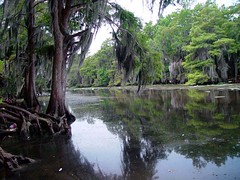 Southwest Louisiana - Sabine River - July 2002
