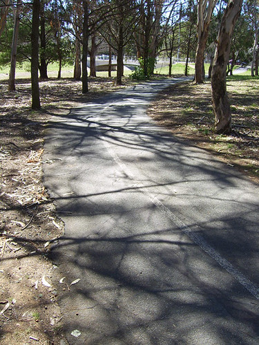 bike path shadows