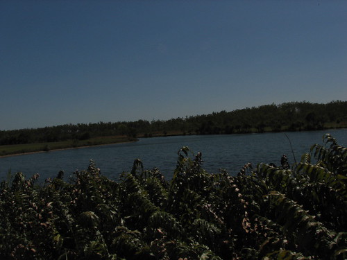 Lake at Palmerston campus, Charles Darwin University