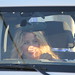 Ibiza - 120610-049 Verliefd op Ibiza [Driving scene]