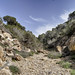 Ibiza - Made by Nature 255