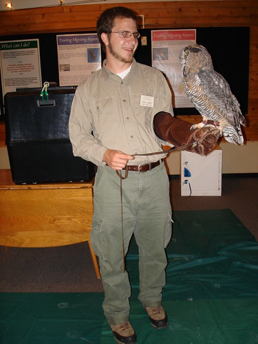 Staring down the Great Horned Owl