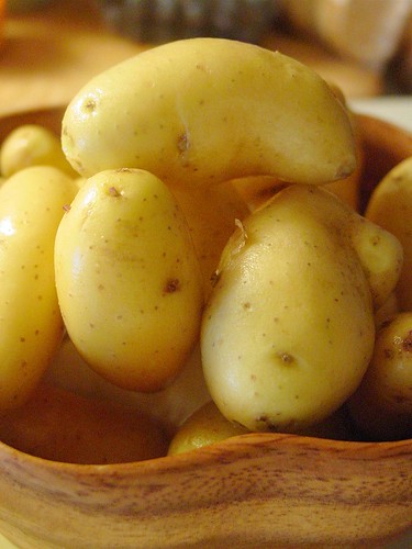 Fingerling Potatoes