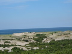 Province Lands Dunes