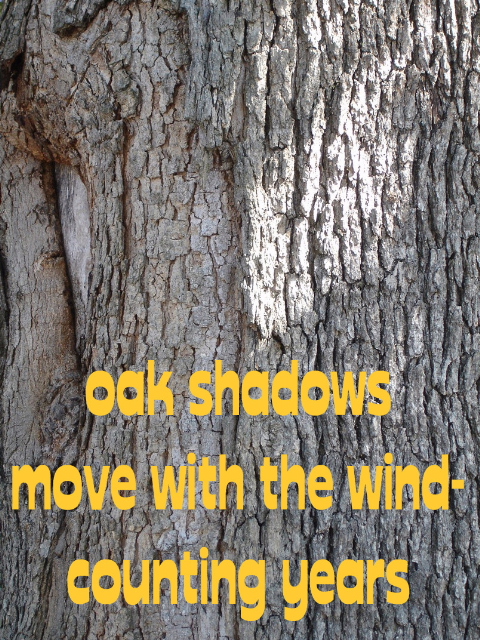 oakshadows