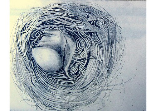 paintings of birds nests. ird nest