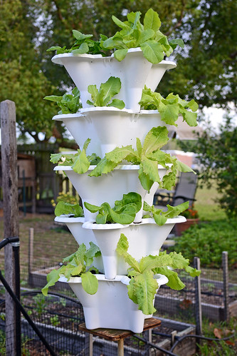 Lettuce Grow Tower