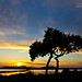 Formentera - IMG_1393 formentera sunset