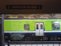 Window Blind