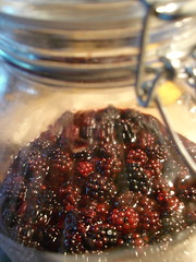 blackberry acid, stage one