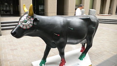 Cow #44