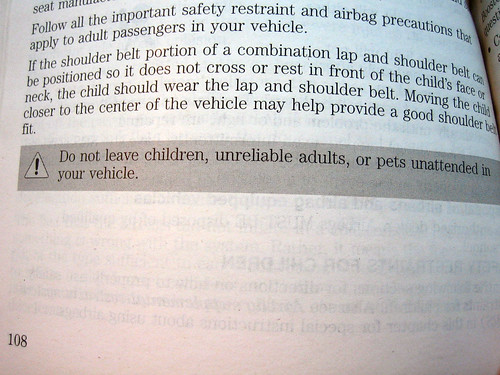 Do not leave children, unreliable adults, or pets unattended in your vehicle.