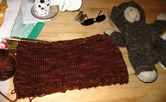 sweater for the monkey