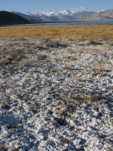 Snow? No, minerals - Karakol Lake, Tajikistan / 雪?いいえ、塩(タジキスタン、カラコル湖)