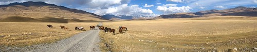 On the way to Naryn, Kyrgyzstan