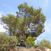 Ibiza - september 2012 170