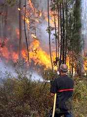 Un miembro del equipo de extinción sofocando las llamas (Foto EFE)