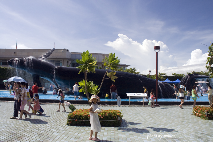 海生館園內露天鯨豚造型水池的親子嬉水人潮 