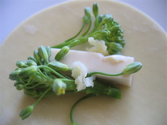 dumpling_tofu_broccolini_8459
