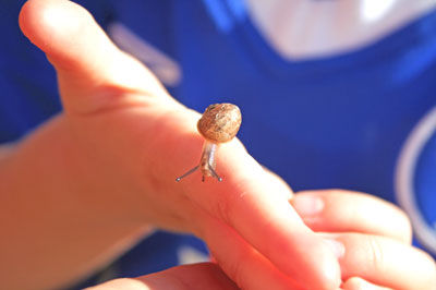 snail george 2