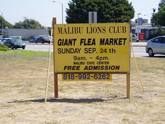 Annual Lion's Club Flea Market