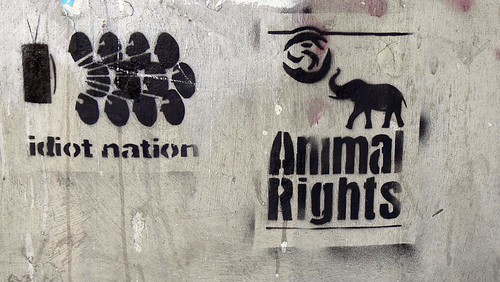 idiot-nation-animal-rights