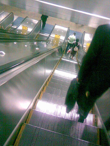 escalator, martin place