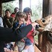 Jessica Feeding Giraffe