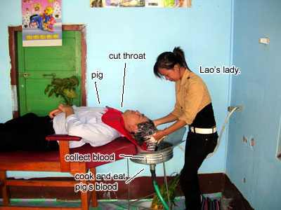 Laos Hair Saloon