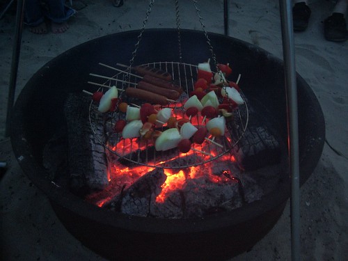 illustration of whole new world of campfire cooking