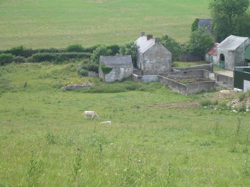 A Local Farm, as Seen from the Top of Navan Fort