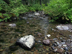 Nickel Creek (Snapshot)