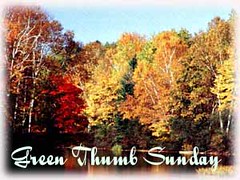 Join Green Thumb Sunday