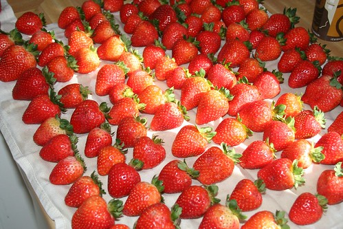Strawberries Ready for the Dark Stuff