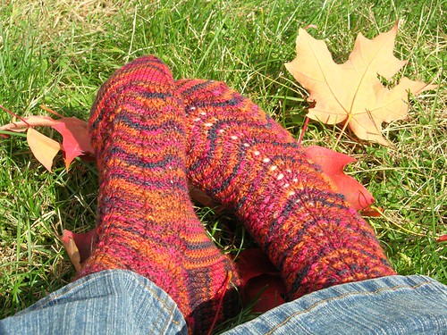 Cherry Tree Hill Feather and Fan socks