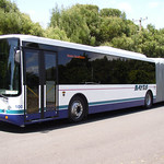 Large Articulated City Bus