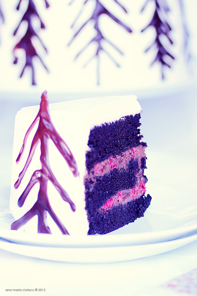 Raspberry Black Forest Cake 6