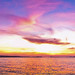 Ibiza - Mambo Sunset Panorama